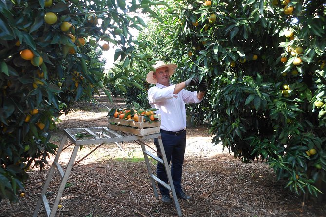 Family Mandarin Farming Tour with Traditional Cooking Lunch - FAQ