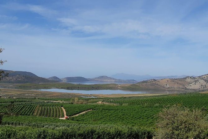 Family Mandarin Farming Tour with Traditional Cooking Lunch - What happens in Xarrë
