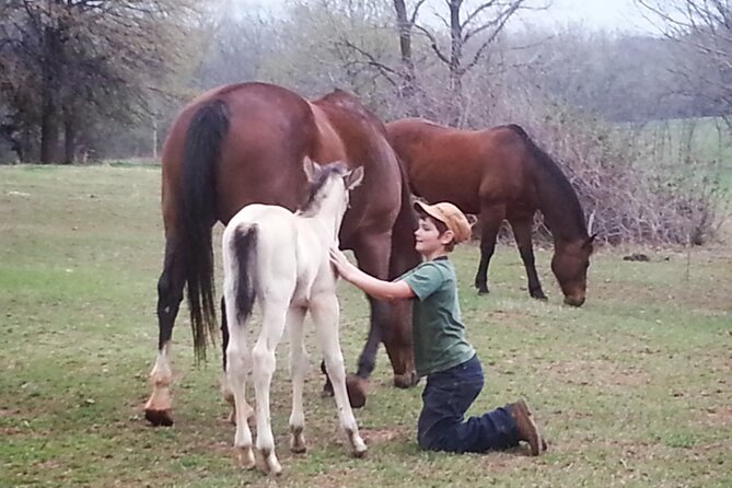 Farm Adventure Experience in Red Hill Ranch - A working Oklahoma ranch, not a staged farm show