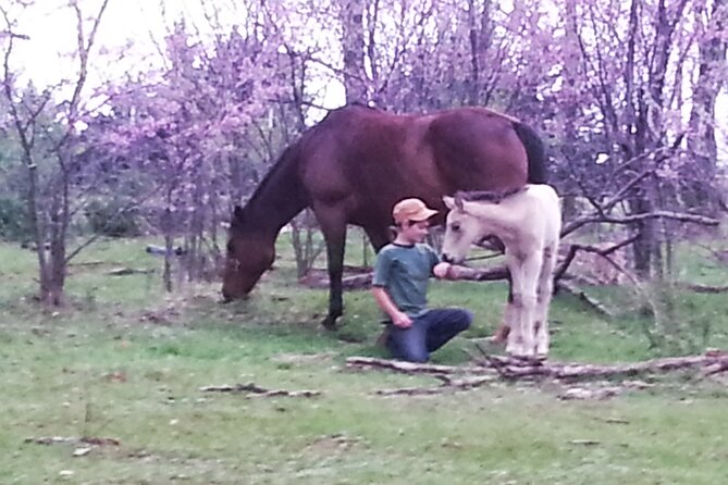 Farm Adventure Experience in Red Hill Ranch - The personal welcome at Red Hill Ranch