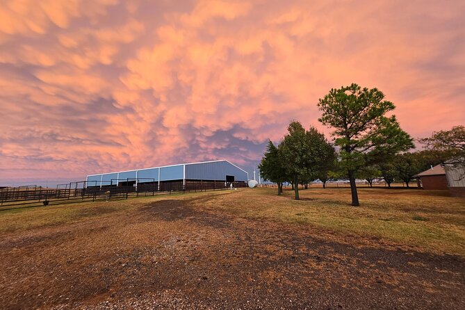 Farm Adventure Experience in Red Hill Ranch - Price, timing, and transport