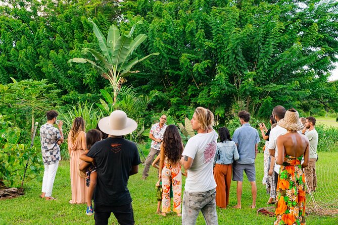 Farm and Food Experience in Kilauea - A short walk through a working food forest