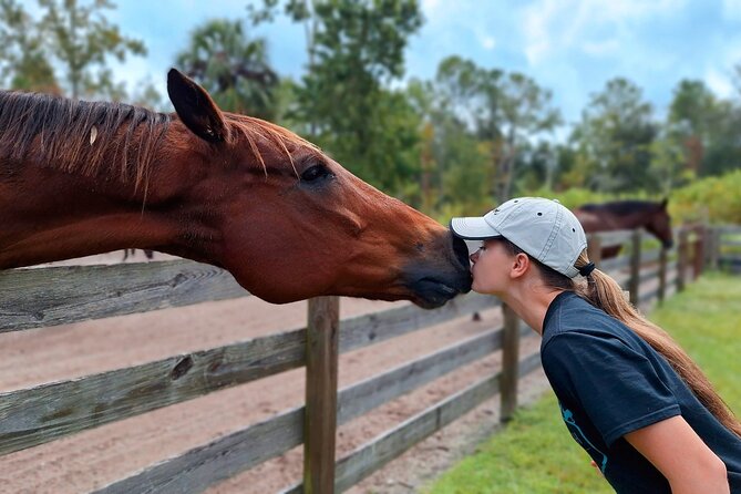 Farm Experience with Ponies, Bunnies, Chickens and Goats - Feeding and petting the smaller animals