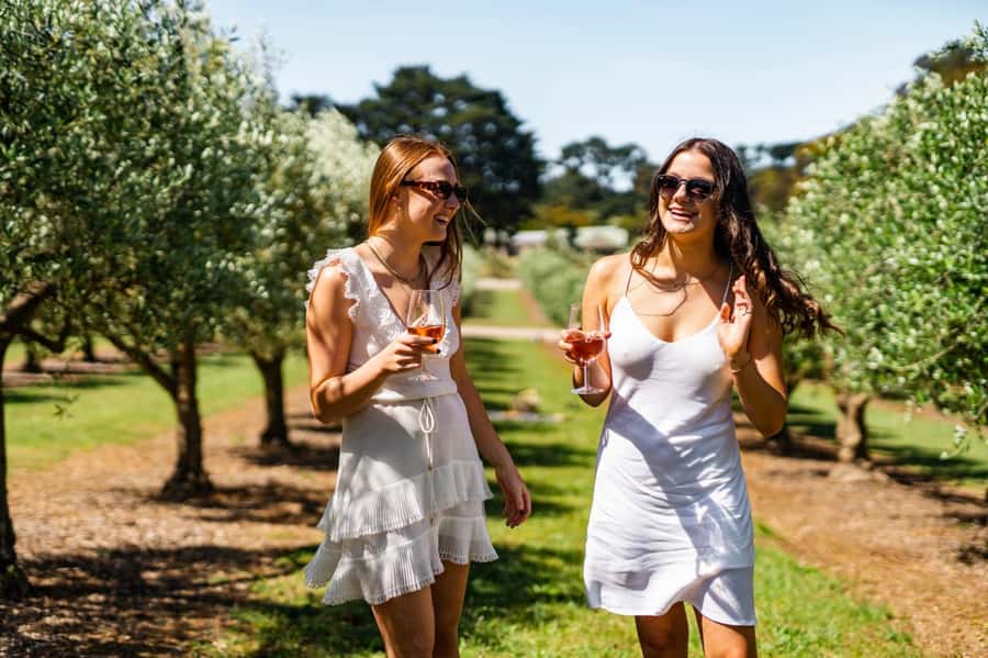 Farm Picnic for 2 adults - Key points before you book