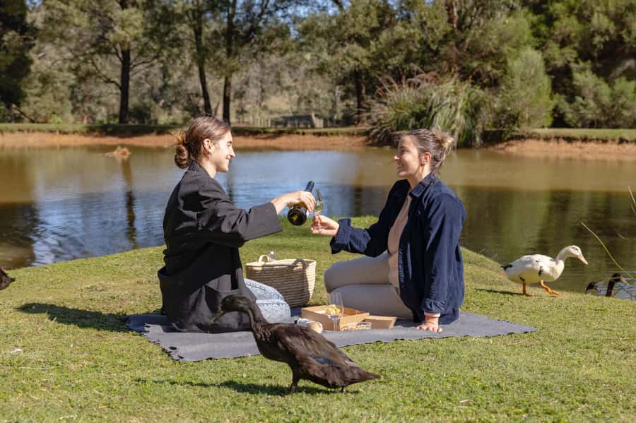 Farm Picnic for 2 adults - What you actually eat and drink
