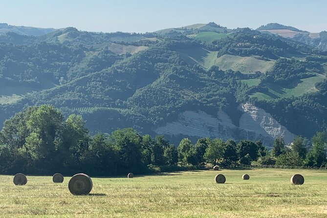 FARM STAY EXPERIENCE & DOZZA - Private Day Tour From Bologna - Dozza, where walls become art