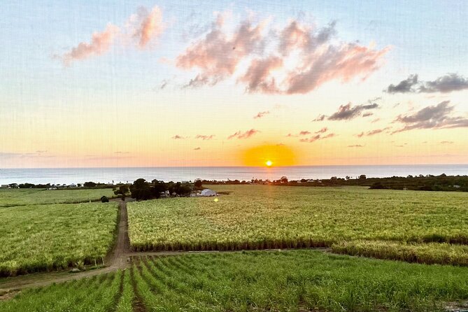 Farm to Bottle Tour at Prosperity Farm Distillery - From sugarcane field to bottle