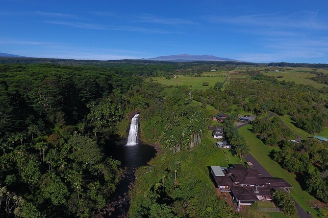 Farm to Table Cooking Class at Kulaniapia Falls - Who will get the most from this class