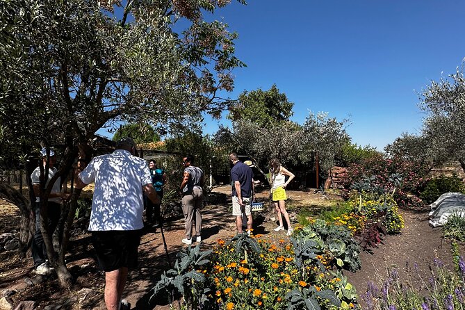 Farm to Table Cooking Experience in San Miguel - Starting at 9:00 a.m. with a Farm Pickup