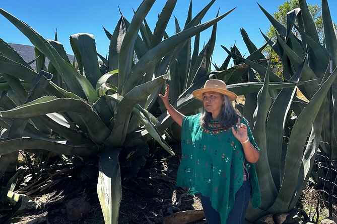 Farm to Table Cooking Experience in San Miguel - Walking the Organic Farm Before Cooking