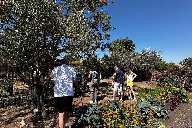Farm to Table Cooking Experience in San Miguel - A Four-Course Lunch in the Garden