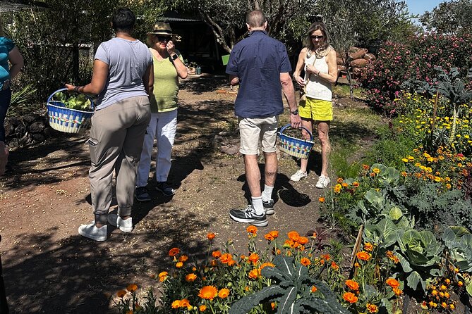 Farm to Table Cooking Experience in San Miguel - Booking and Cancellation Details