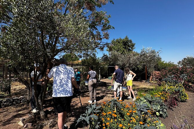 Farm to Table Cooking Experience in San Miguel - Cooking with Luis and Alonzo