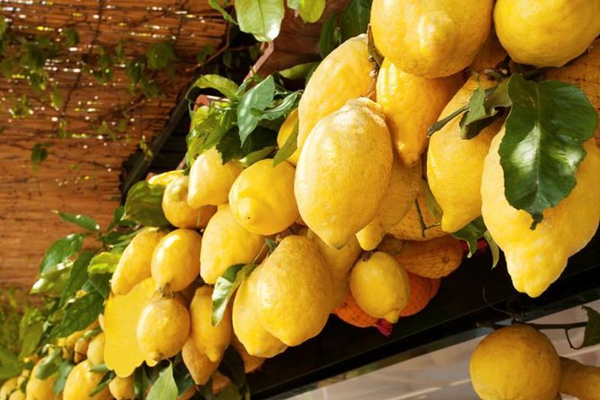 Farm-to-Table Experience: Olive Oil, Garden Tour & Nonna’s Lunch - Nonna’s lunch and the value of a shared table