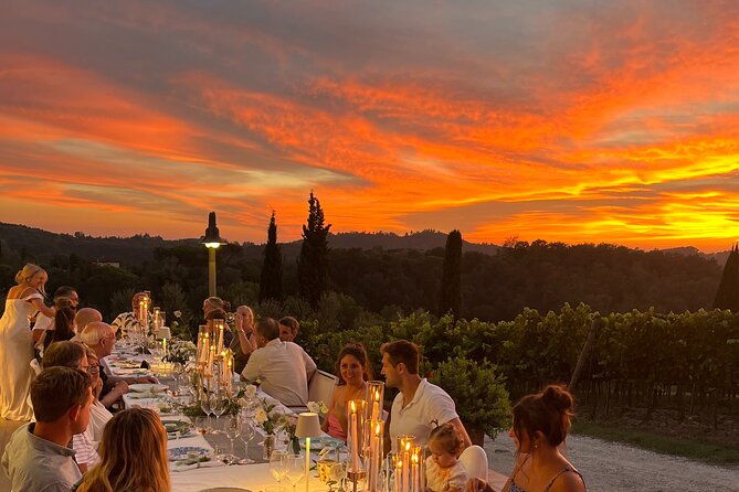 Farm To table Experience on an organic hilltop estate in Tuscany - Key points at a glance