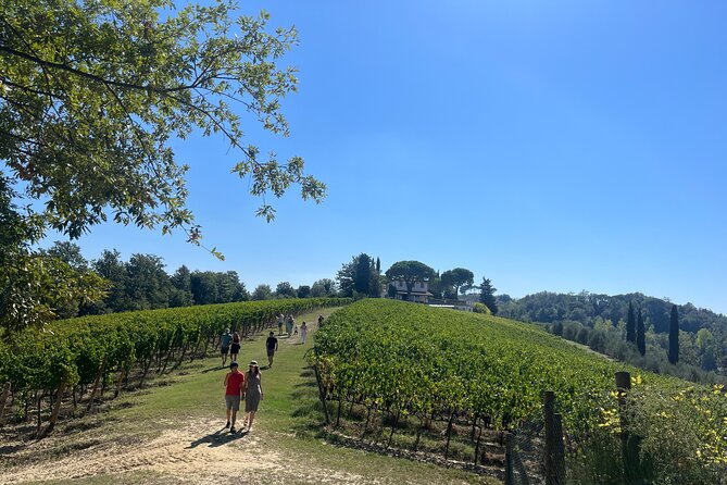 Farm To table Experience on an organic hilltop estate in Tuscany - Cooking a three-course Tuscan lunch