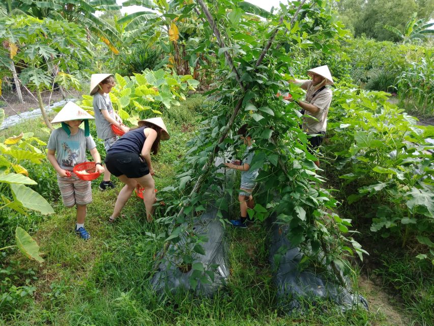 Farm-To-Table Healthy Cooking Class: Half-Day Tour - Rice cultivation and the Vietnamese food system