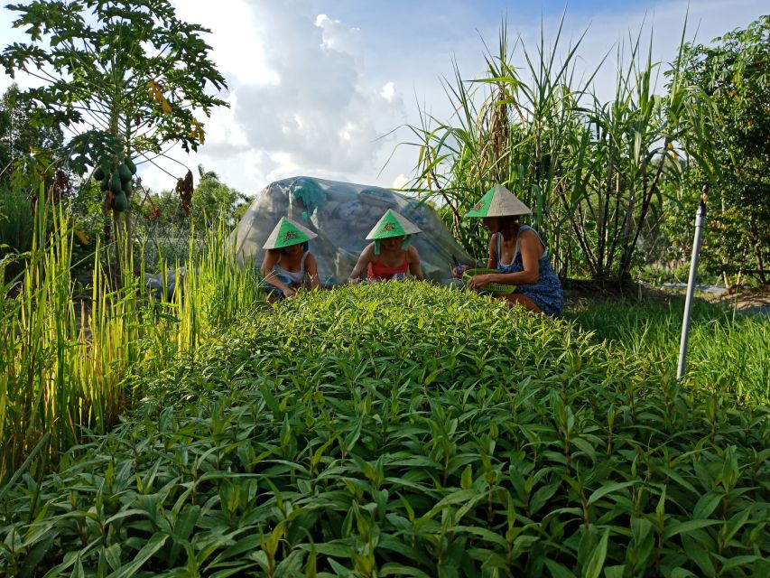 Farm-To-Table Healthy Cooking Class: Half-Day Tour - Meeting the plants in the medicine garden