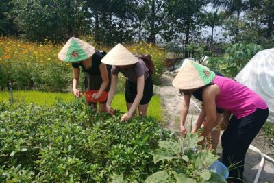 Farm-To-Table Healthy Cooking Class in Ho Chi Minh City