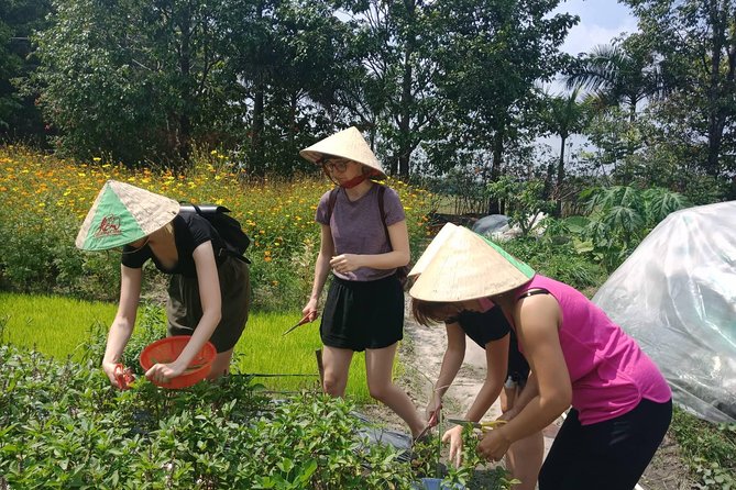 Farm-To-Table Healthy Cooking Class in Ho Chi Minh City - Who will enjoy this cooking class most
