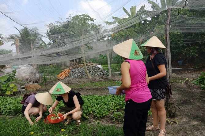 Farm-To-Table Healthy Cooking Class in Ho Chi Minh City - Helpful planning details before you book