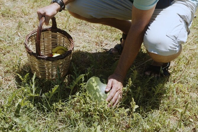 Farm to Table - Local Cooking Experience - Greek salad, fourtalia, and the taste of Andros