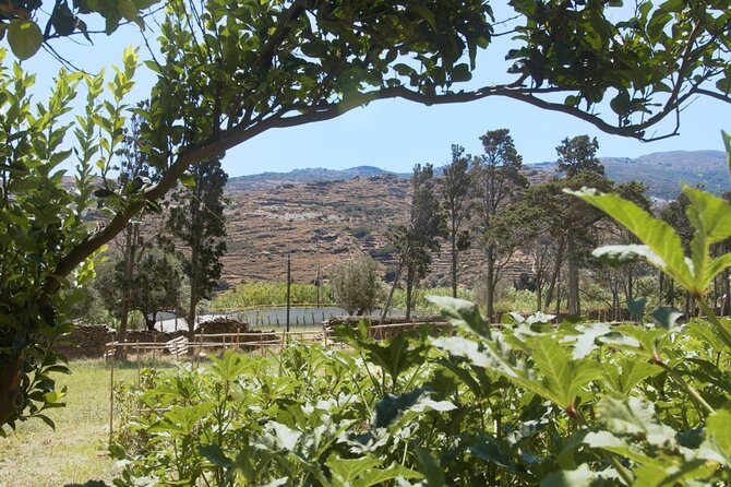 Farm to Table - Local Cooking Experience - Picking ingredients in the private garden