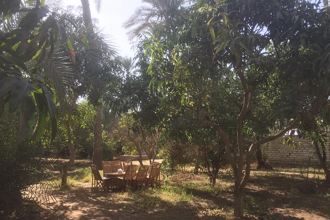 Farm-To-Table Tour With An Adventure To Bent & Red Pyramids - A look toward the Black Pyramid
