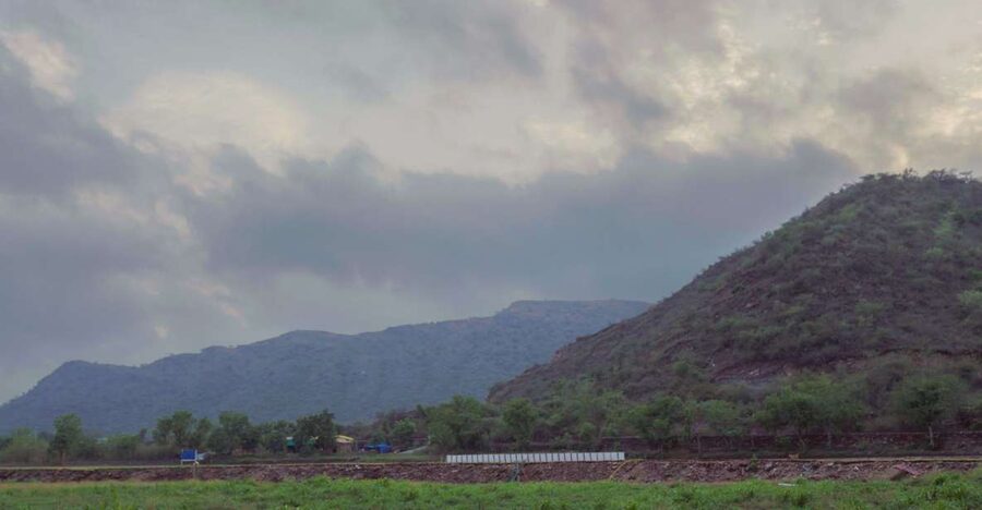Farm to Table: With a local farmer family - From Udaipur’s city streets to a working farm