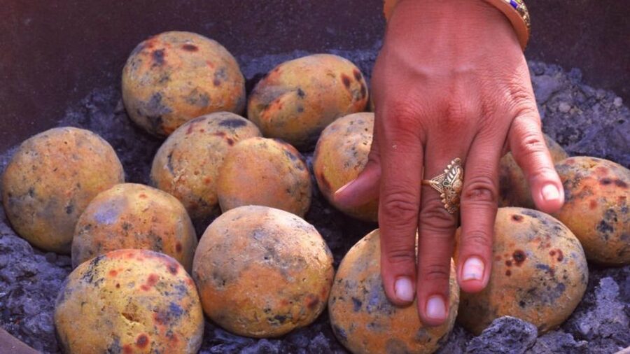 Farm to Table: With a local farmer family - Chaas, snacks, and lunch under the neem tree