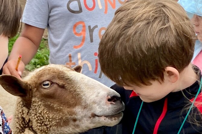 Farm Tour at Clover Brooke Llama/Alpaca/Goat Farm - What the Pasture Walk Is Like
