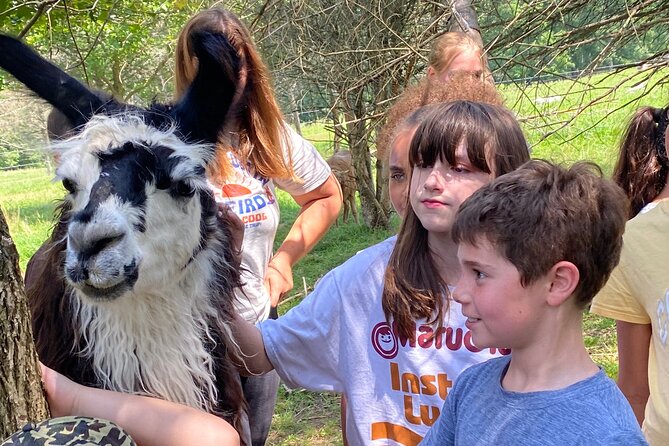 Farm Tour at Clover Brooke Llama/Alpaca/Goat Farm - Why the Educational Focus Matters