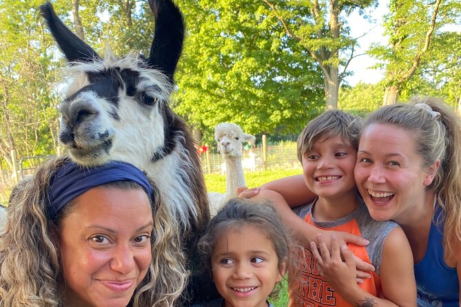 Farm Tour at Clover Brooke Llama/Alpaca/Goat Farm - The Value of $21.50