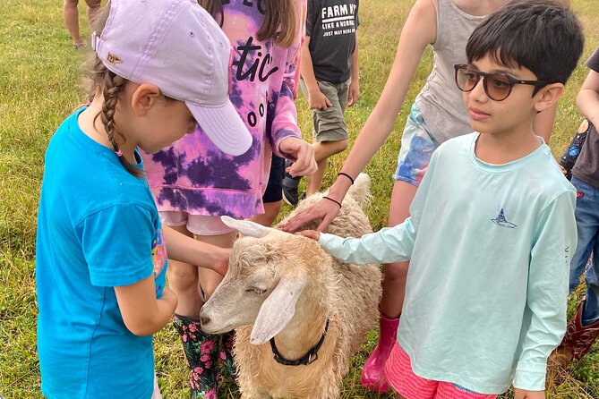 Farm Tour at Clover Brooke Llama/Alpaca/Goat Farm - Who Will Enjoy This Farm Tour Most