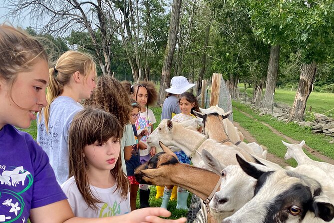 Farm Tour at Clover Brooke Llama/Alpaca/Goat Farm - Booking Details That Matter