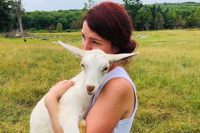 Farm Tour at Clover Brooke Llama/Alpaca/Goat Farm - How the Guide Shapes the Experience