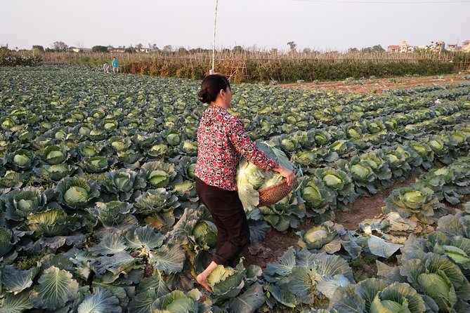 Farm tour & Home cooking class with local family in Hanoi - From a 400-year-old communal house to a family kitchen