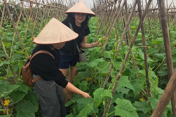 Farm tour & Home cooking class with local family in Hanoi - The farmer market shows what Hanoi cooks with