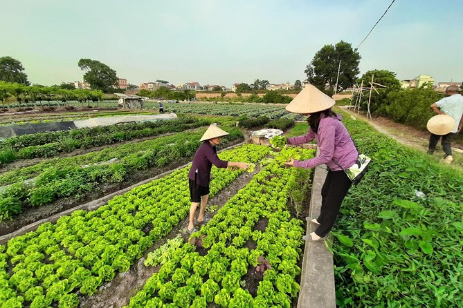 Farm tour & Home cooking class with local family in Hanoi - Value at $38 per person