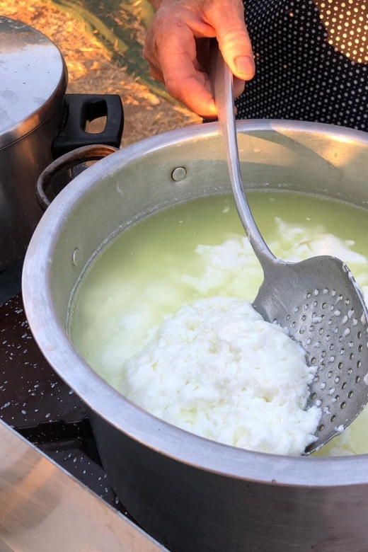 Farm Tour with Cheese-Making, Olive Oil Tasting & Picnic - What the $60 price covers
