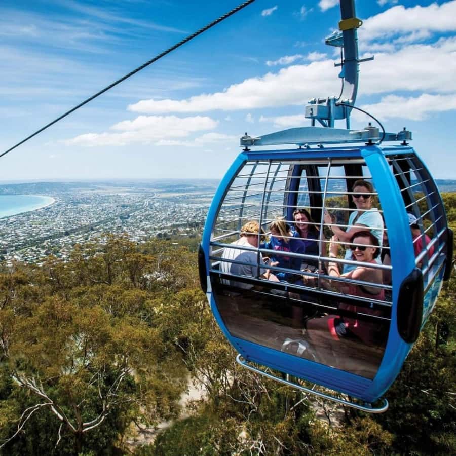 Farmer's Lunch and Arthurs Seat Eagle Cable Car Ride - For 2 - Why the farm setting matters