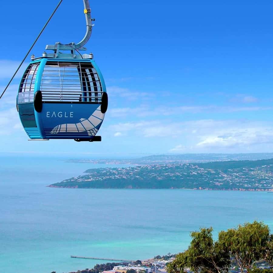 Farmer's Lunch and Arthurs Seat Eagle Cable Car Ride - For 2 - What the grazing lunch includes