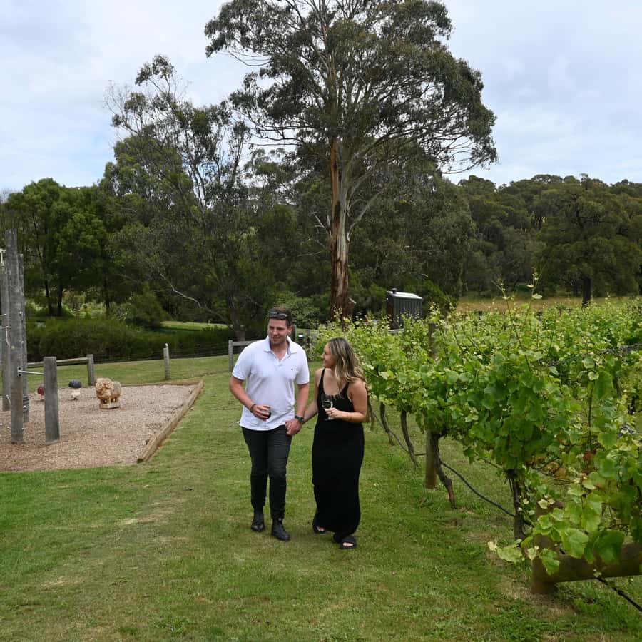Farmers Lunch - Food and Wine for 2 - A farm lunch with the best seat in the house