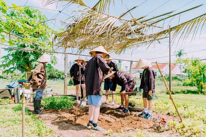 Farming & Cooking Class in Hoi An - Small Group Tour - Morning or afternoon: choosing the better departure