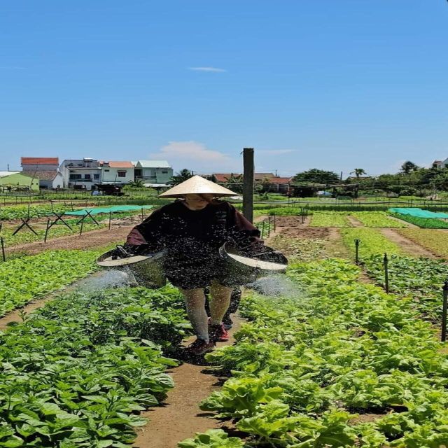 Farming - Local Market - Cooking Class In Tra Que Vegetable - The herbal foot bath and massage