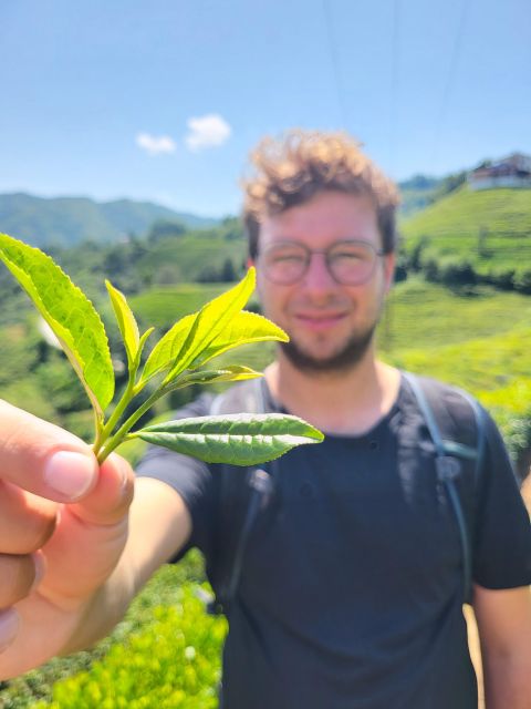 Farming with Farmers at ancient vegetable Village "Tra Que" - Picking herbs before cooking lunch