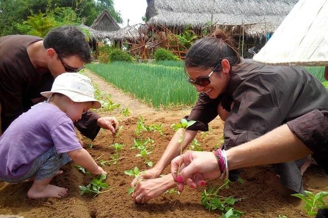 Farming with the Local Famers - Why Tra Que makes a good break from Hoi An