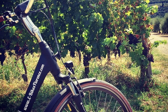Fiesole: Tuscan Countryside Half Day E-Bike Tour & Farm visit - The farm stop: bread, cheese, oil, and wine