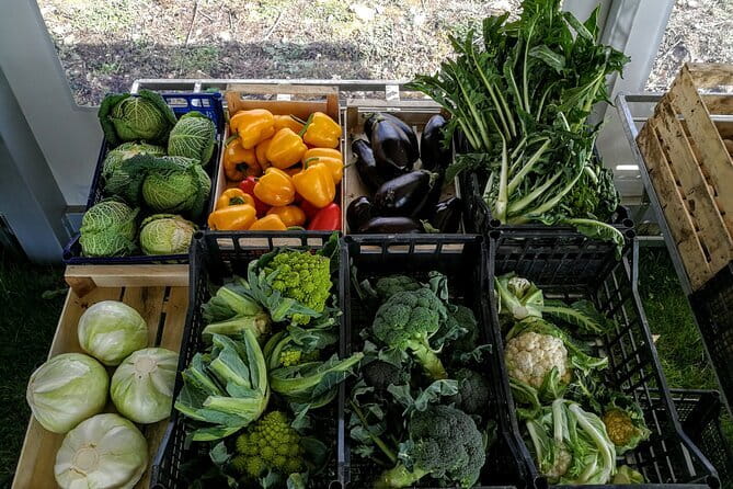 Fiesole: Tuscan Countryside Half Day E-Bike Tour & Farm visit - How strenuous is the four-hour ride?