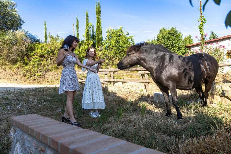 Florence: Cooking Class on a Traditional Tuscan Farm - Arriving at Fattoria Palaia
